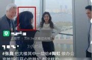 吃瓜娱乐圈陶虹视频,揭秘明星幕后故事